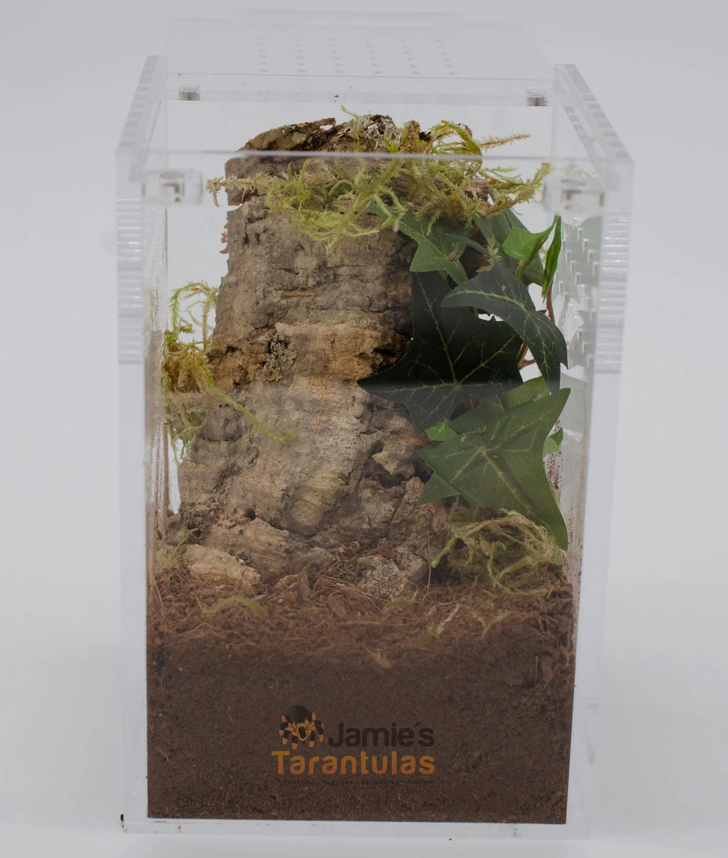 4x4x6" Tarantula Enclosure - Fossorial / Arboreal Kit - Magnetic Lock - Ship w/Tarantula(s)