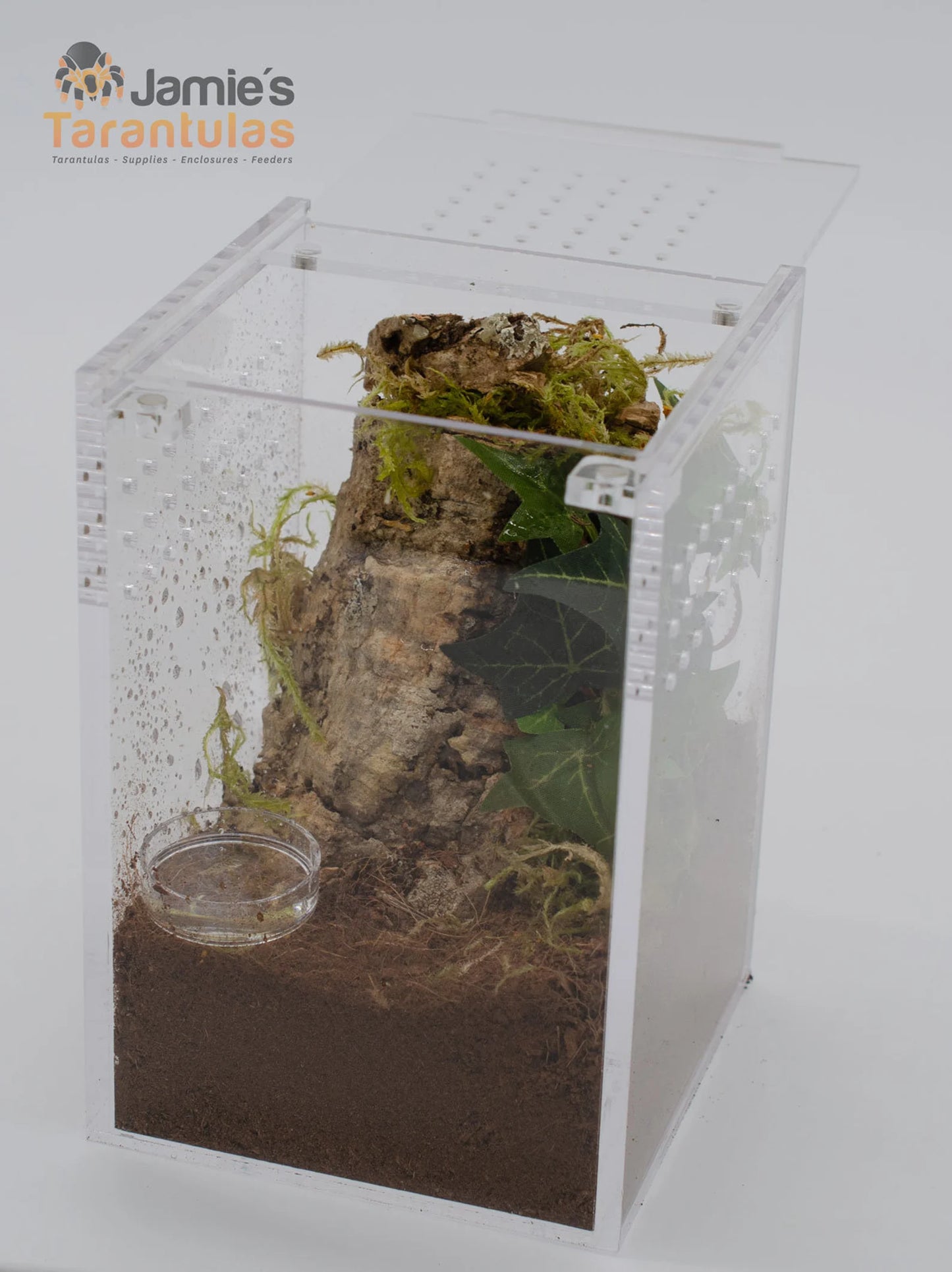 4x4x6" Tarantula Enclosure - Fossorial / Arboreal Kit - Magnetic Lock - Ship w/Tarantula(s)