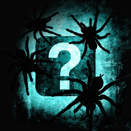 Mystery Sling - Uncommon Mexican Brachypelma or Aphonopelma 1/2"+