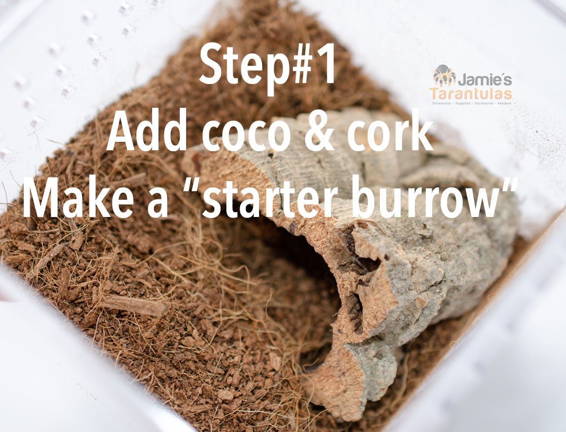 4x4x6" Tarantula Enclosure - Terrestrial Kit - Magnetic Lock