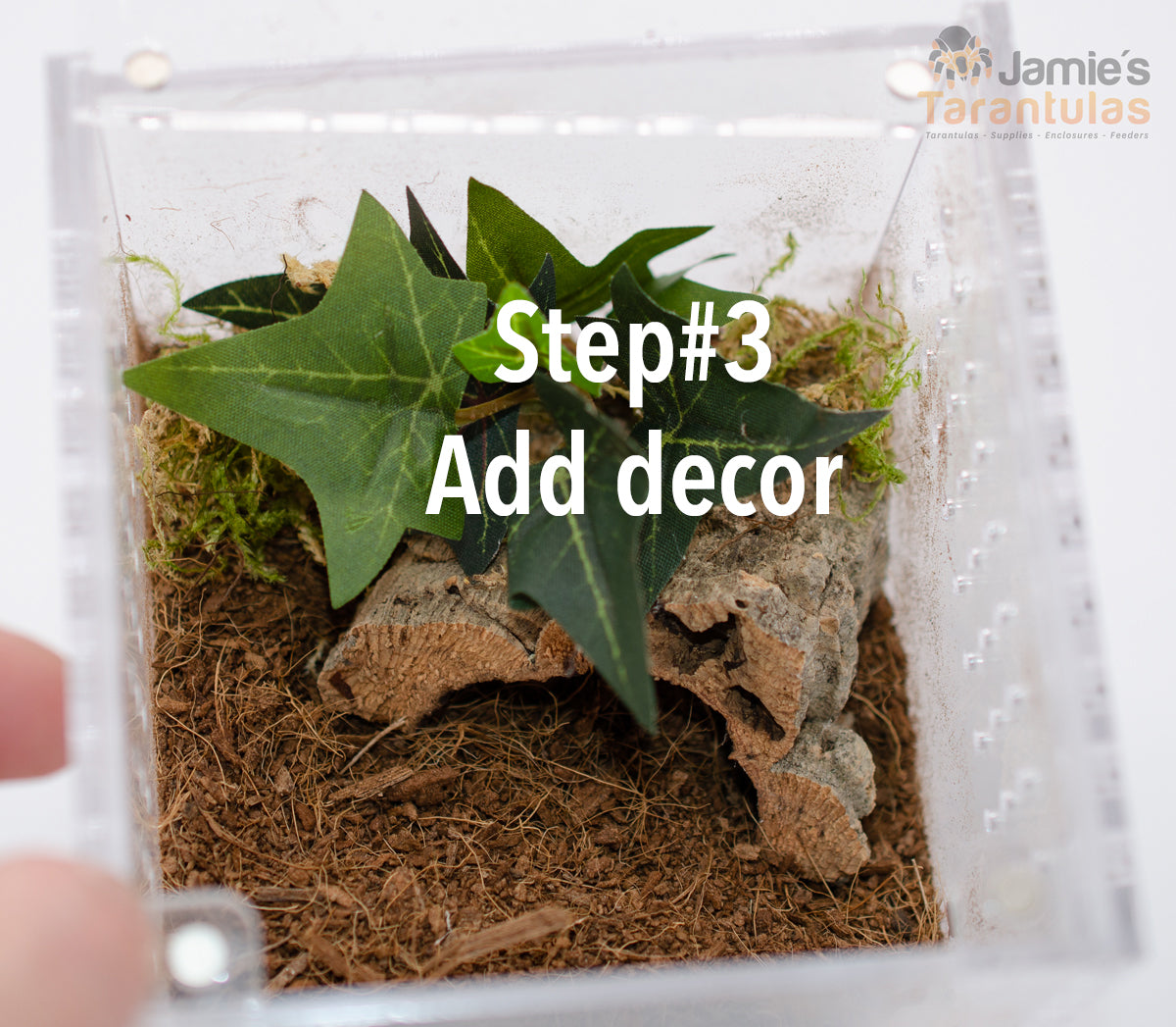 4x4x6" Tarantula Enclosure - Terrestrial Kit - Magnetic Lock