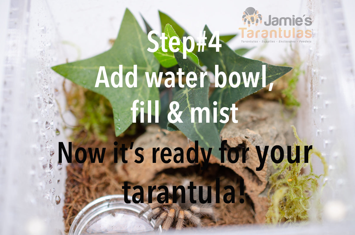 4x4x6" Tarantula Enclosure - Terrestrial Kit - Magnetic Lock